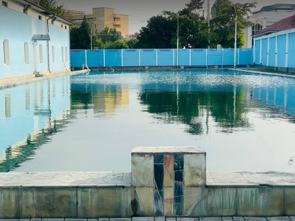 Delfin — фото 1