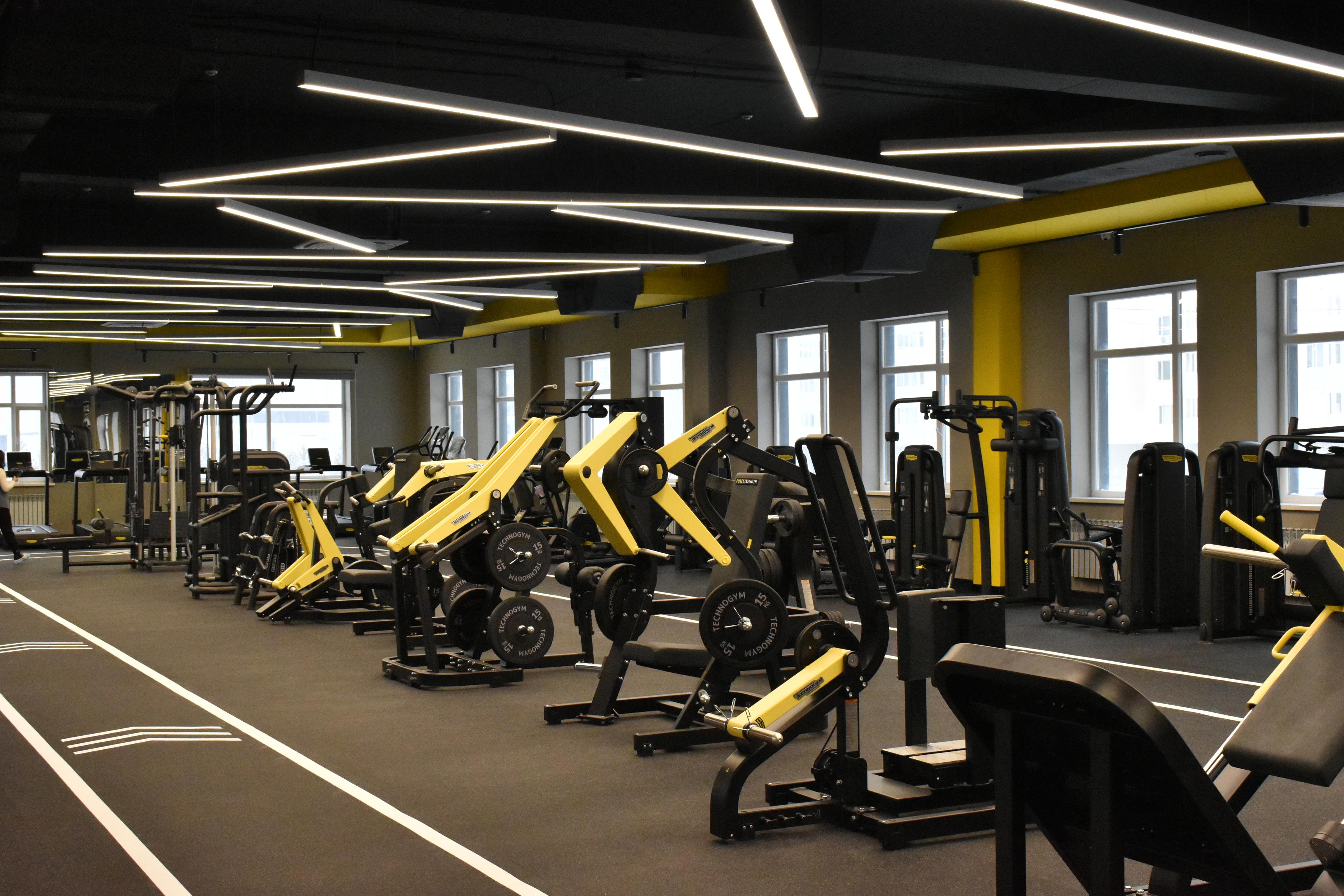 Alpha Gym studio image