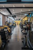 Тренажёрный зал "Олимпия"