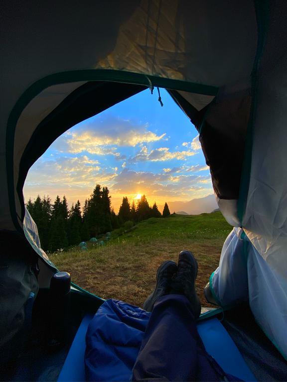 GoTourist на Достык — фото 7