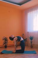 Arteria Yoga