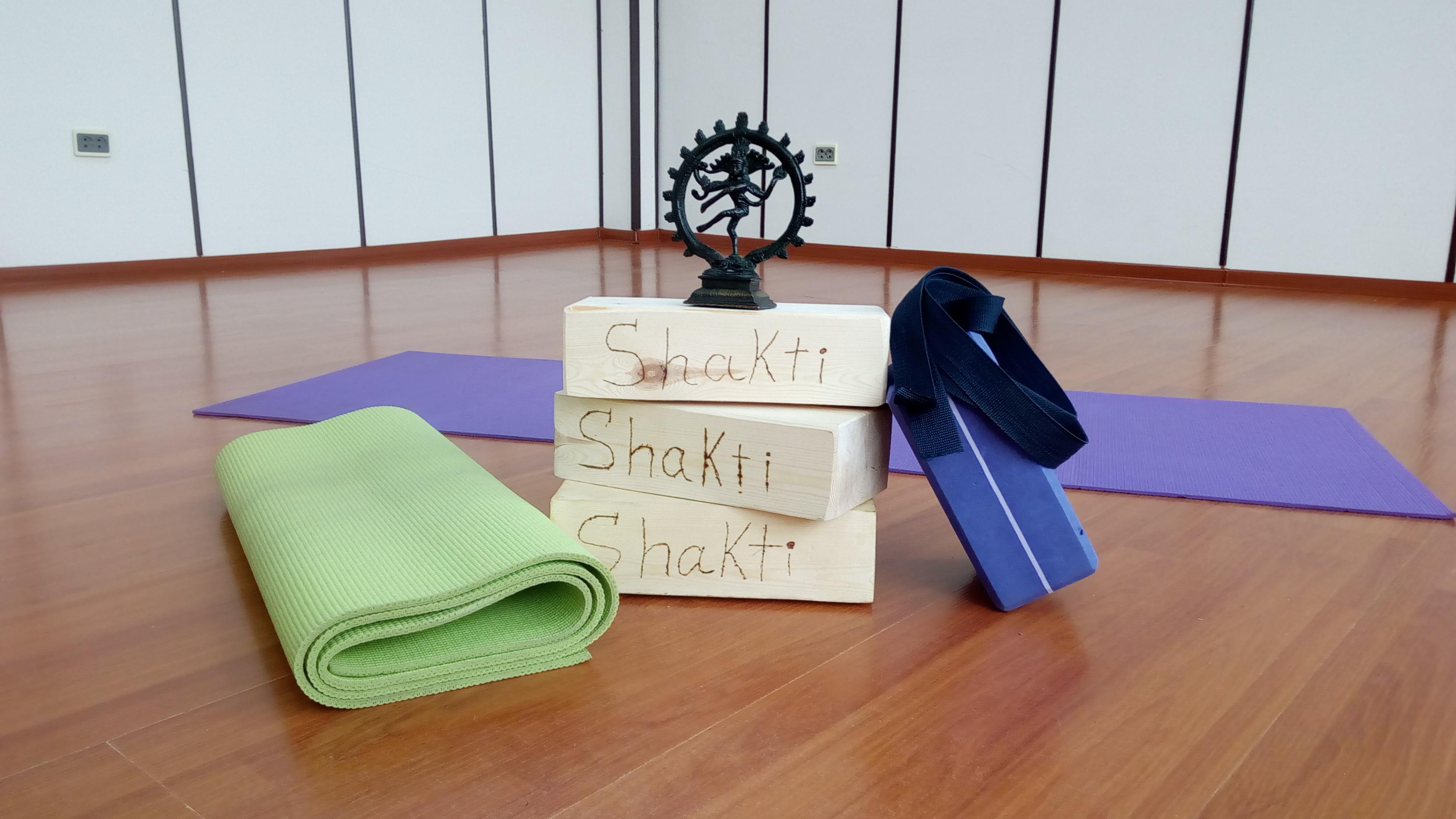 Shakti studio image