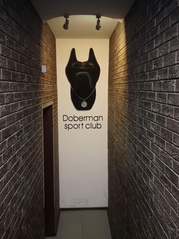 CK Doberman — фото 1