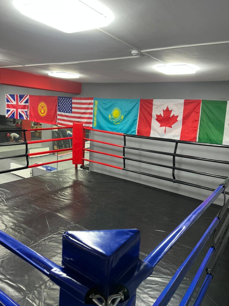 Underdog boxing Team studio image