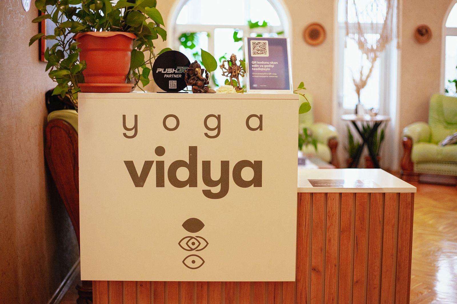 Yoga Vidya studio image