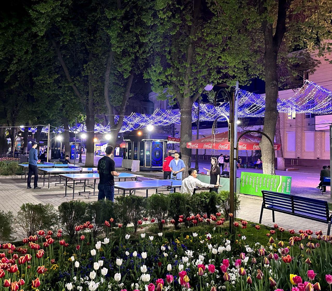 Street Ping Pong & Badminton(Сквер) studio image