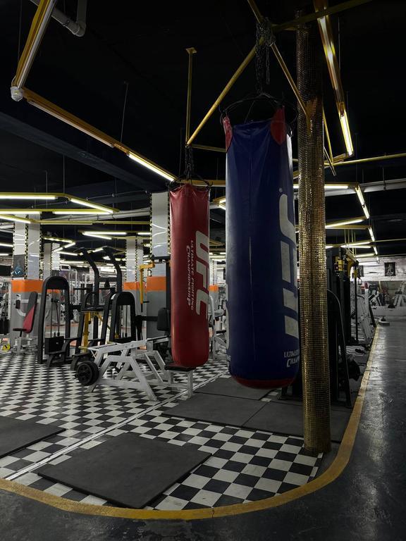 BULL GYM — фото 3
