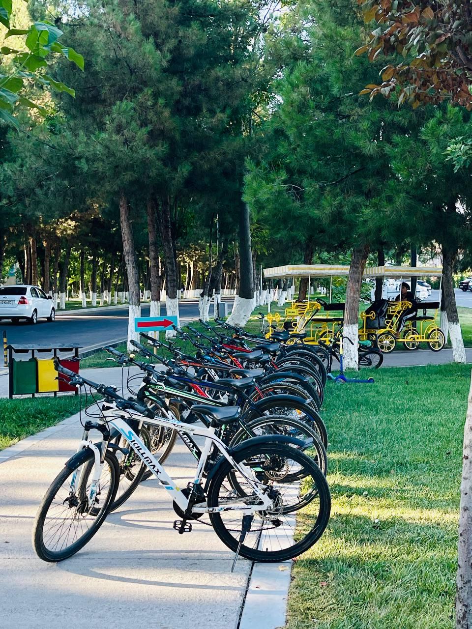 Street cycling & badminton (Беруни) studio image