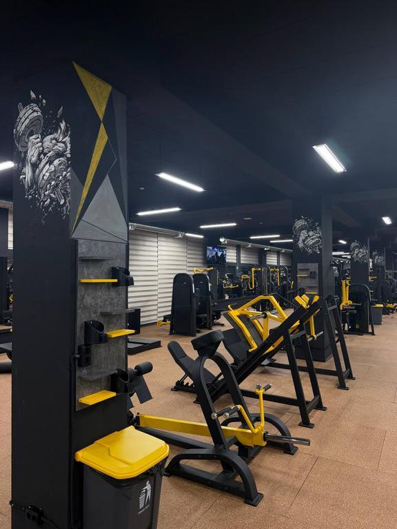 ALPHA SPORT SERGELI FIT — фото 14