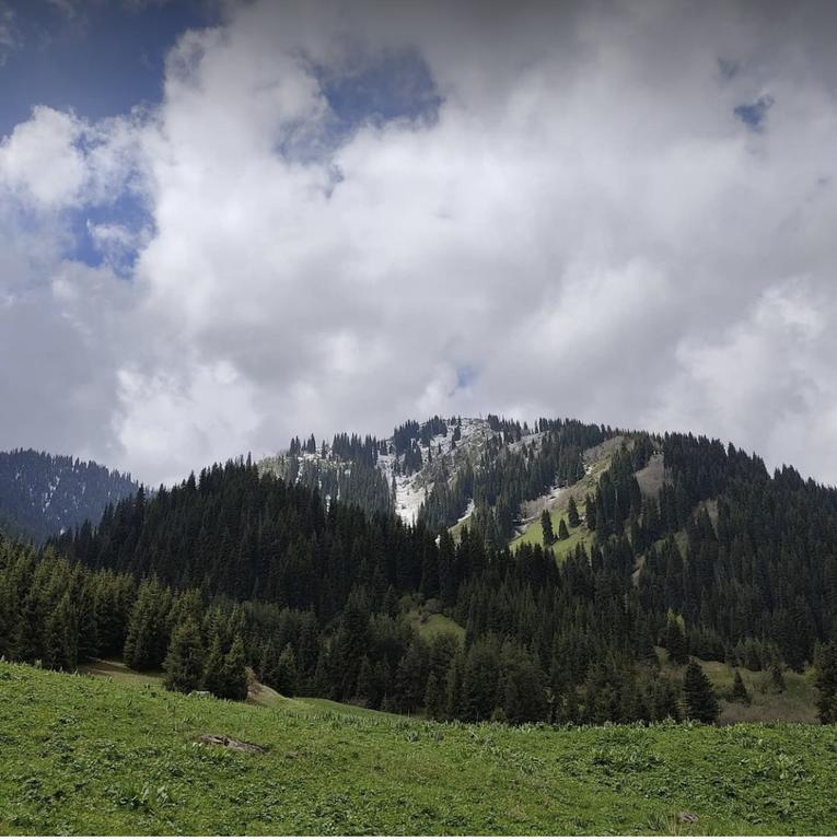 I love Almaty Mountains — фото 4