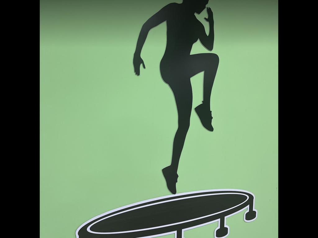 GULIA Fitness Jumping — фото 4