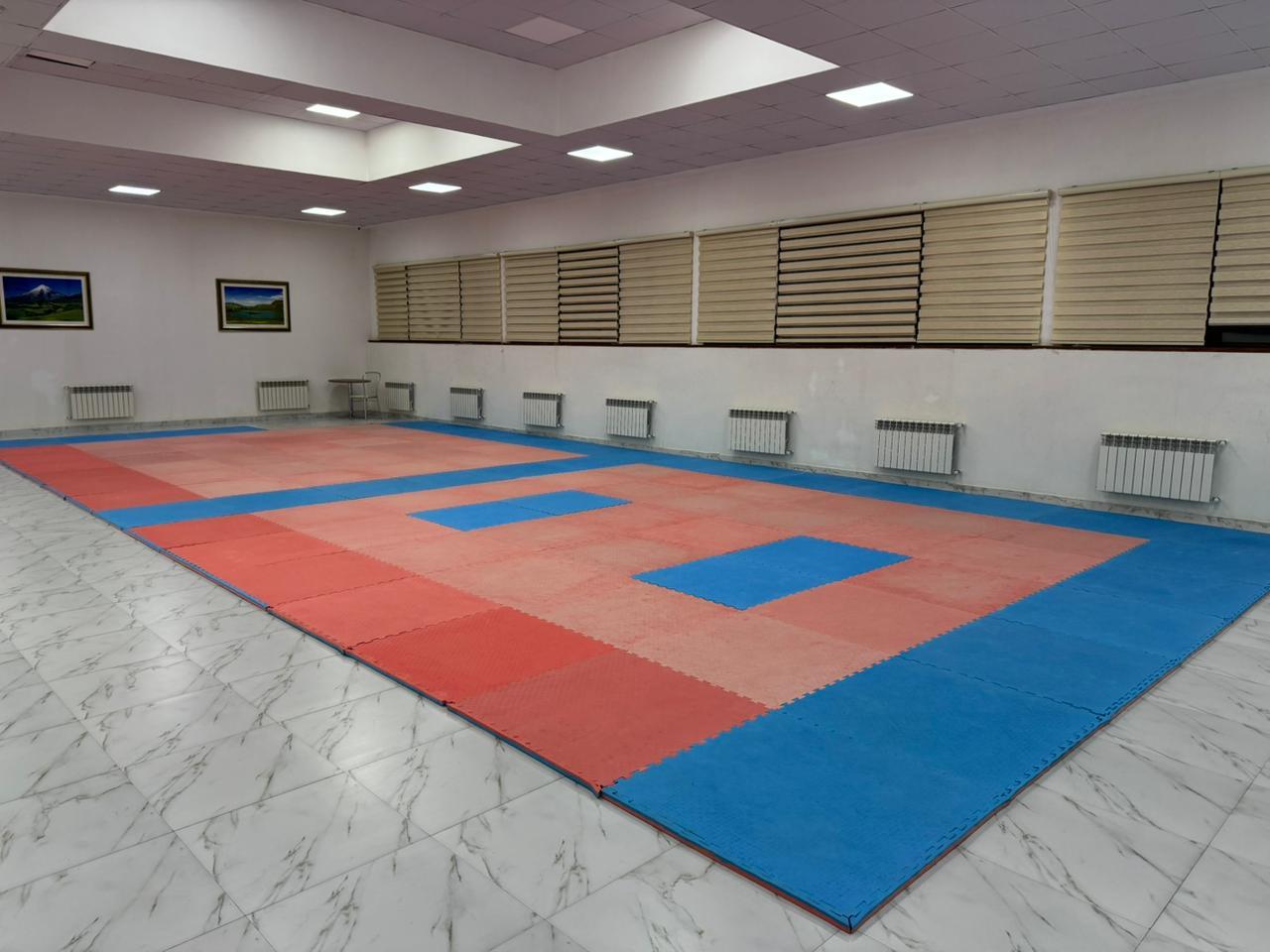 Ruslan İsmayılov WKF studio image